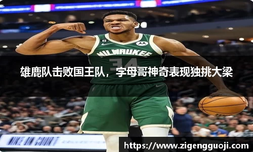 新足球体育直播