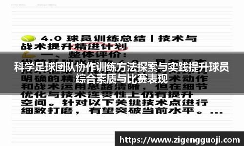 新足球直播