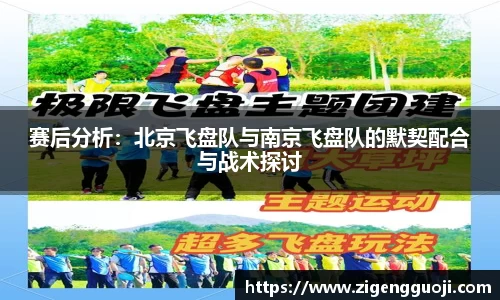 新足球体育直播