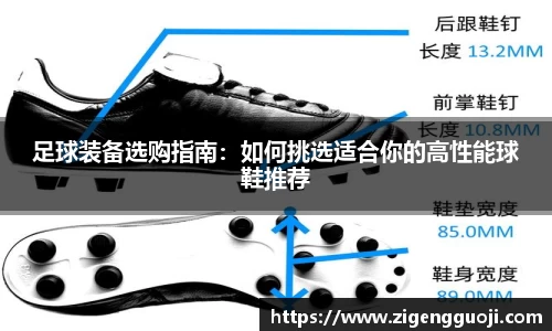 新足球直播在线观看