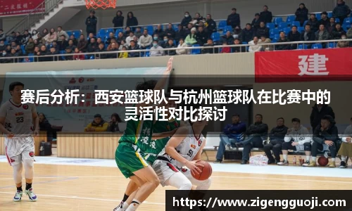新足球体育直播
