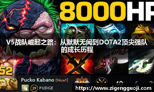 新足球体育直播