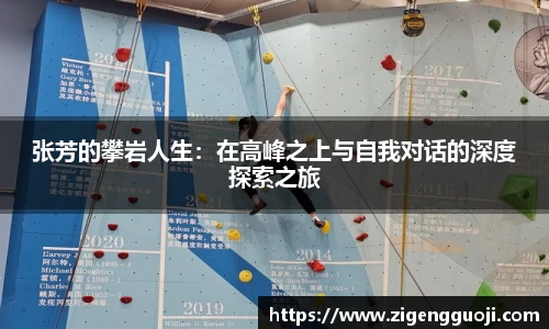 新足球体育直播