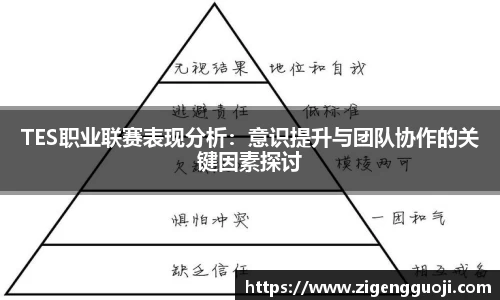 新足球体育直播