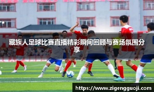 新足球直播在线观看