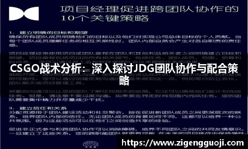 CSGO战术分析：深入探讨JDG团队协作与配合策略