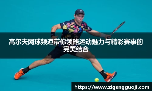 高尔夫网球频道带你领略运动魅力与精彩赛事的完美结合