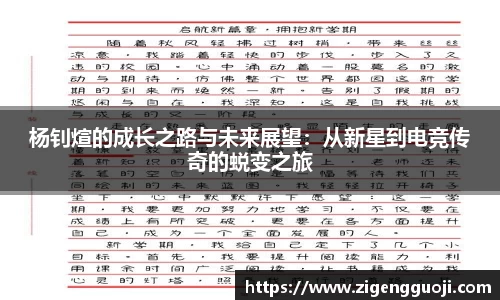 杨钊煊的成长之路与未来展望：从新星到电竞传奇的蜕变之旅